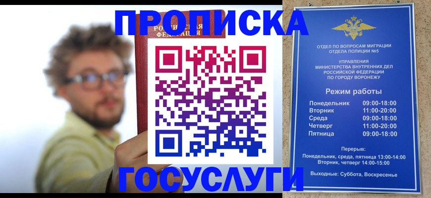 прописка поиск в Ершове